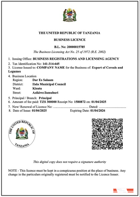 Tanzania business licence Word and PDF template